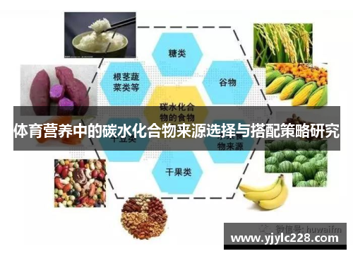 体育营养中的碳水化合物来源选择与搭配策略研究
